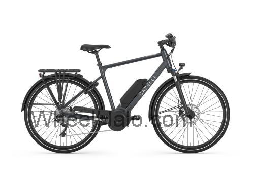 Gazelle Medeo T9 Classic specs and reviews 